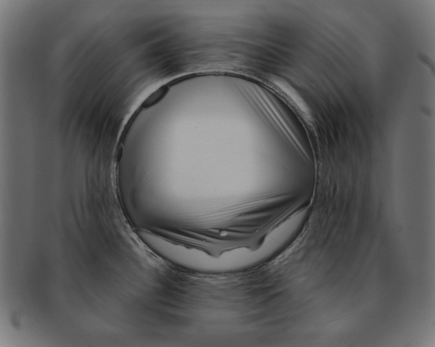 X0000091671340200709201212