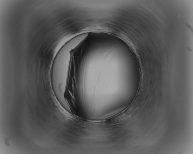 X0000091671344200709201212