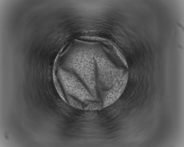 X0000091671346200709201211