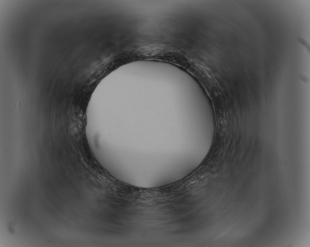 X0000091671349200709201211