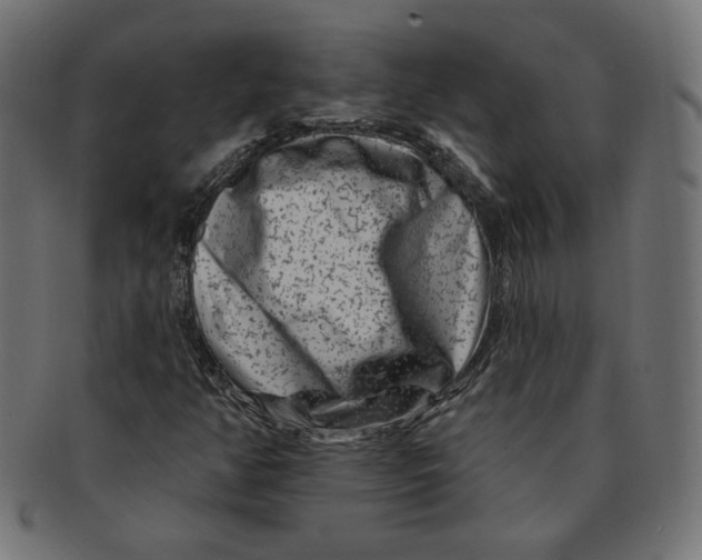 X0000091671350200709201211