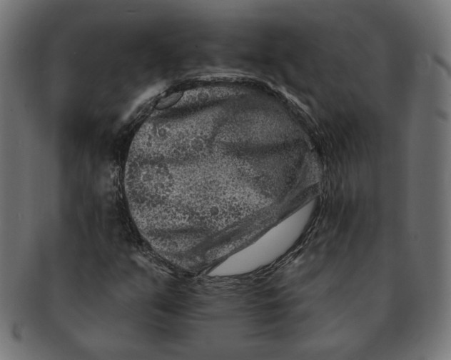 X0000091671351200709201211