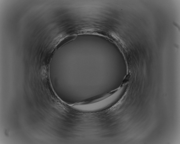 X0000091671353200709201211