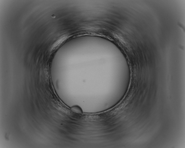 X0000091671354200709201211