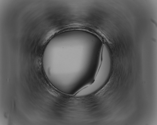 X0000091671355200709201211