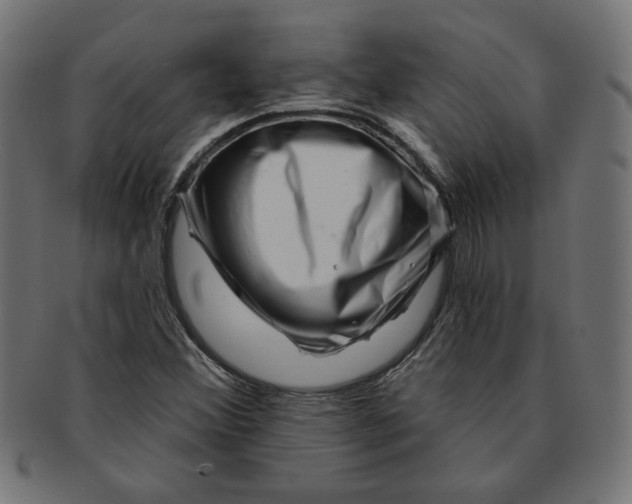 X0000091671356200709201211