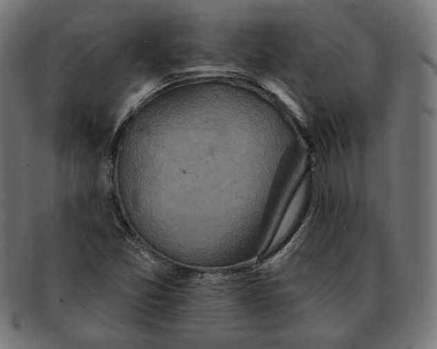 X0000091671357200709201211