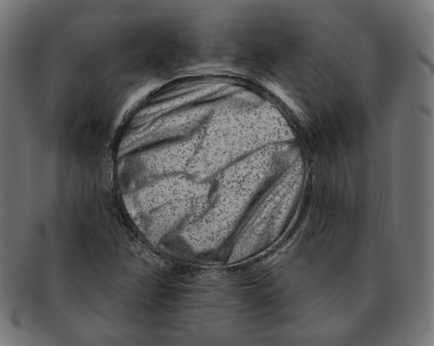 X0000091671358200709201211