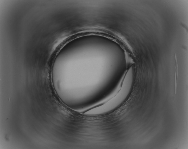 X0000091671360200709201211