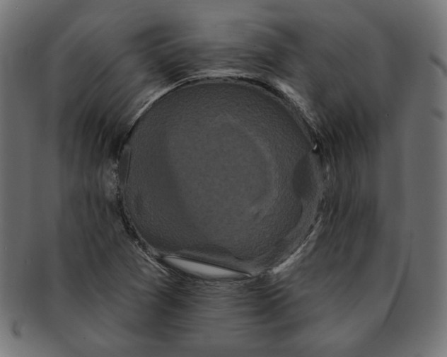 X0000091671361200709201211