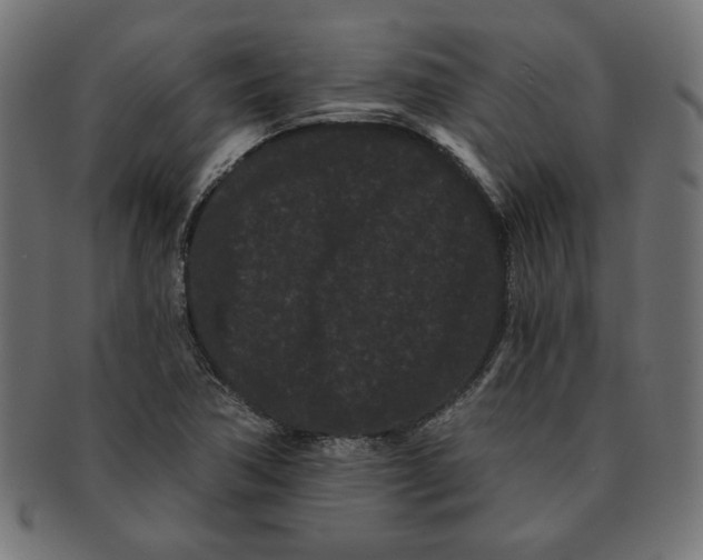 X0000091671362200709201211