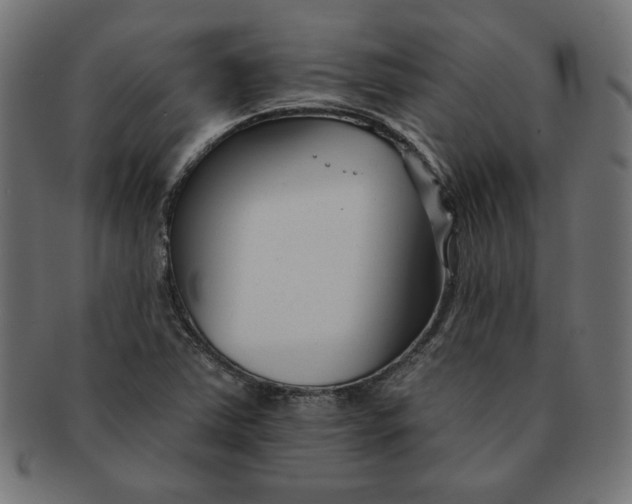 X0000091671363200709201211