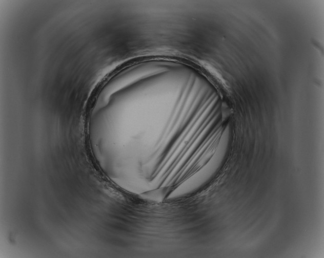 X0000091671364200709201211