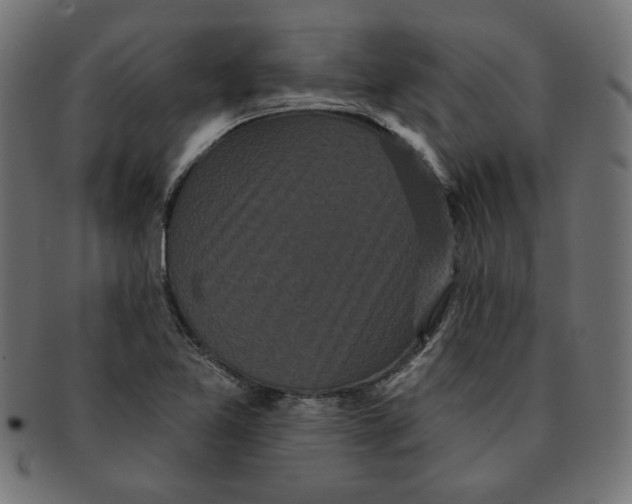 X0000091671365200709201211