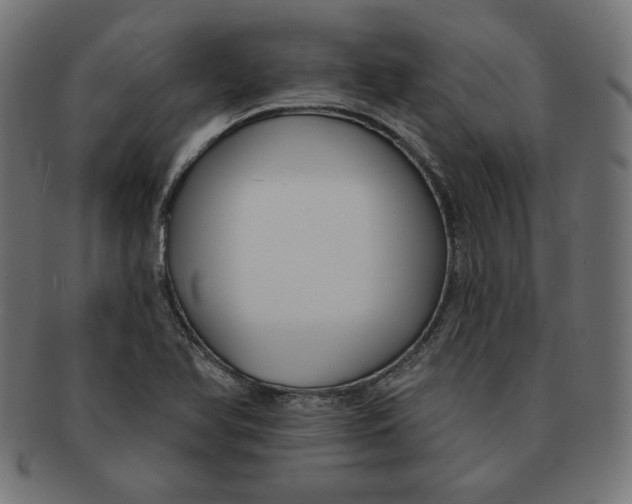 X0000091671366200709201211