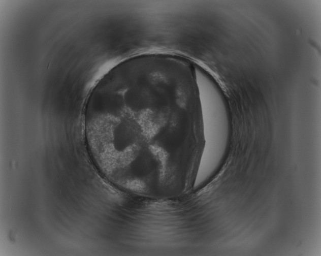 X0000091671367200709201211