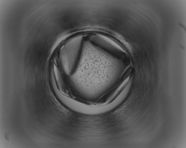 X0000091671368200709201211