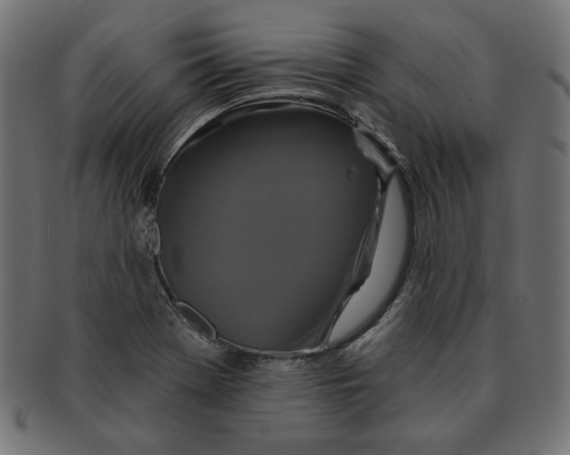 X0000091671369200709201211