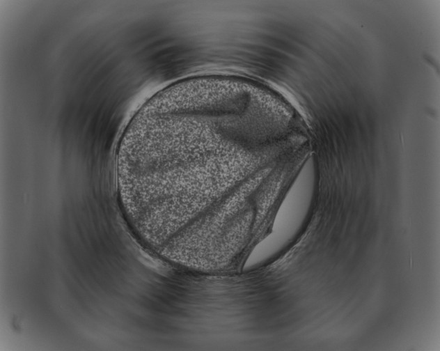 X0000091671371200709201211