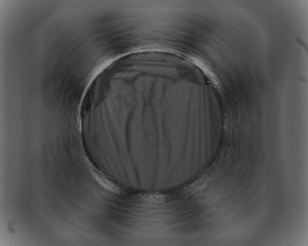 X0000091671372200709201211