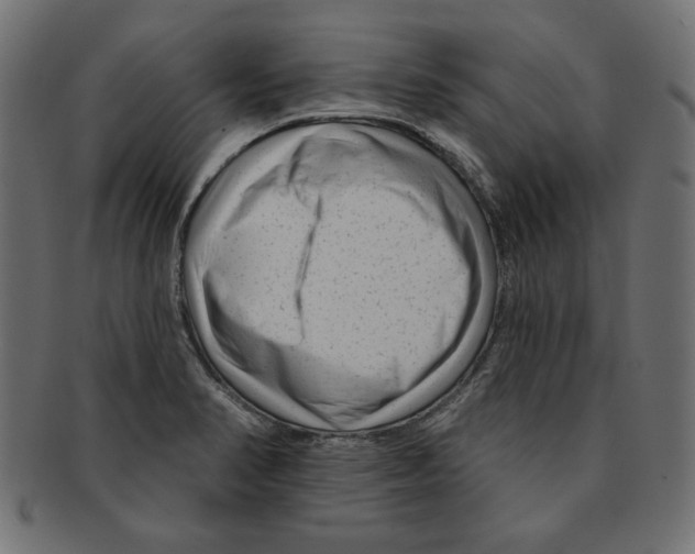 X0000091671374200709201211