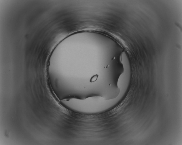 X0000091671375200709201211