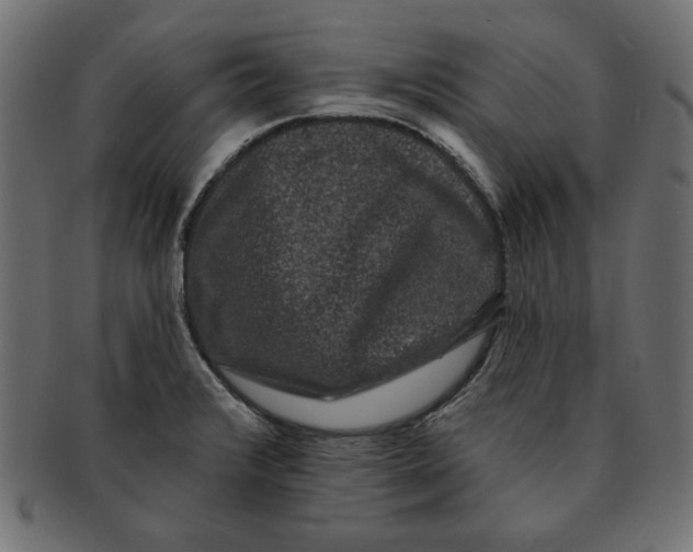 X0000091671376200709201211