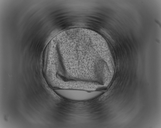 X0000091671378200709201211