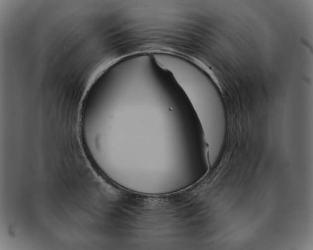 X0000091671379200709201211