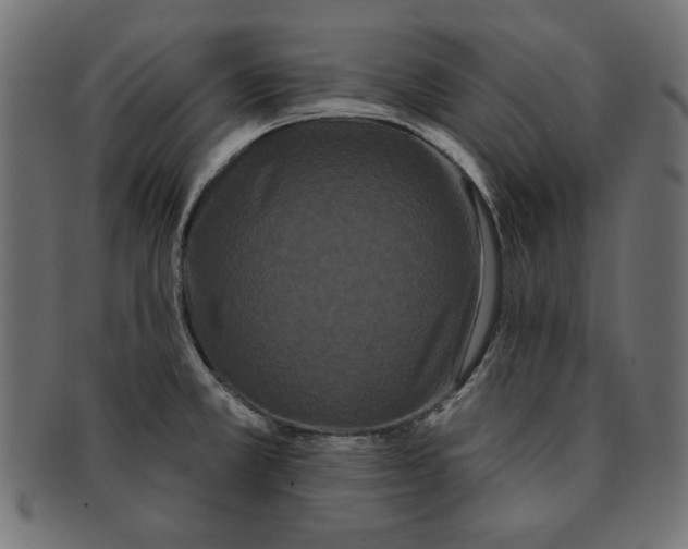 X0000091671381200709201211