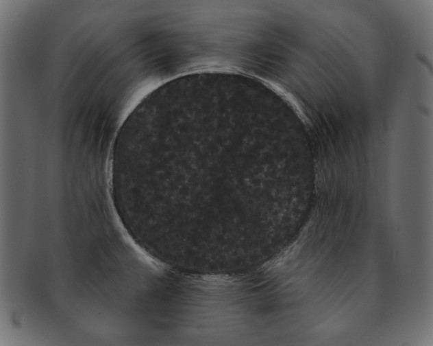 X0000091671383200709201211