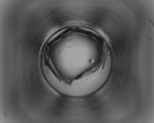 X0000091671384200709201211