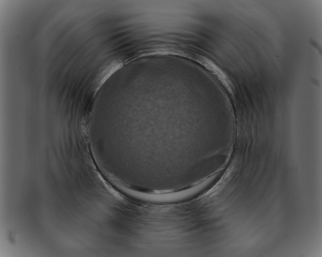 X0000091671385200709201211