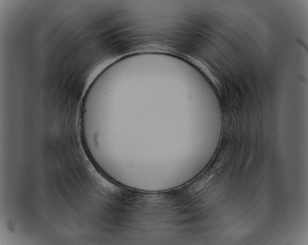 X0000091671387200709201211