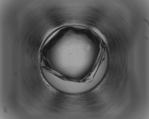 X0000091671388200709201211