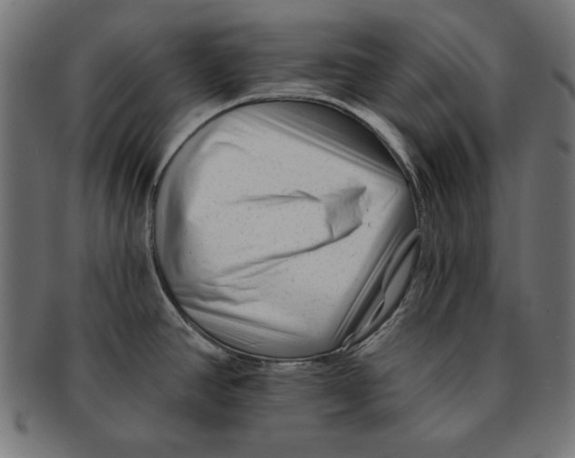 X0000091671390200709201211