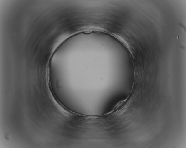 X0000091671391200709201211