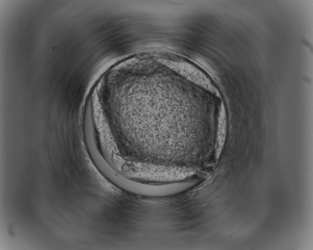 X0000091671392200709201211