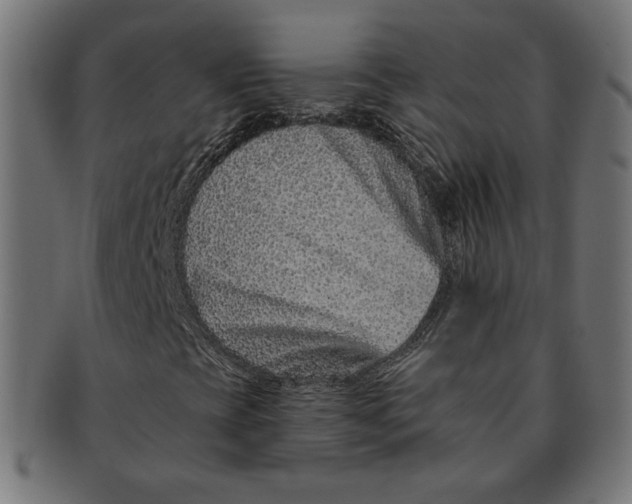 X0000091671393200709201210