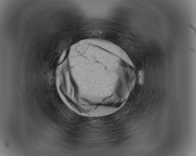 X0000091671395200709201210