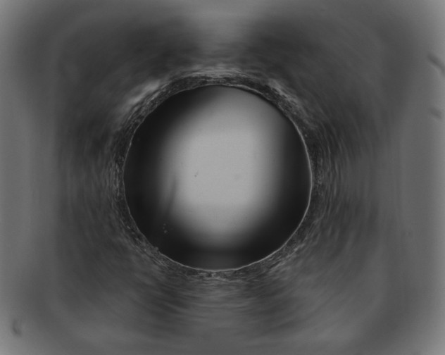 X0000091671398200709201210