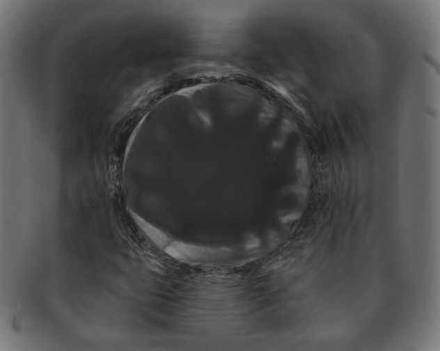 X0000091671399200709201210