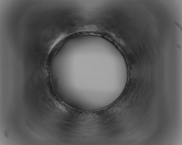 X0000091671400200709201210