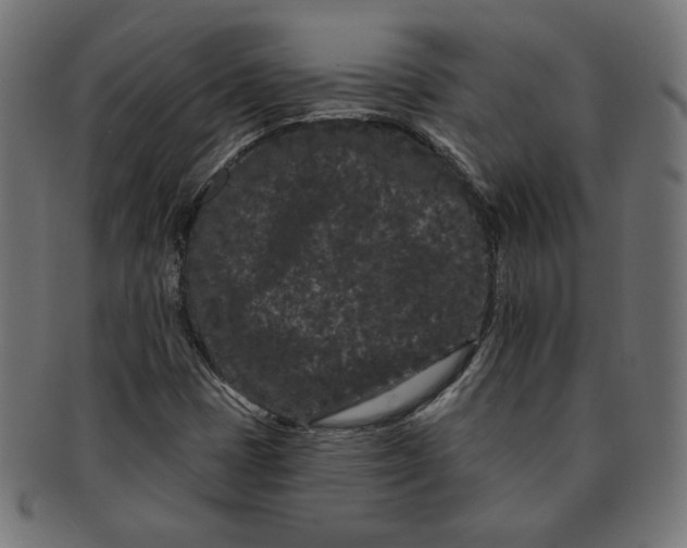 X0000091671401200709201210