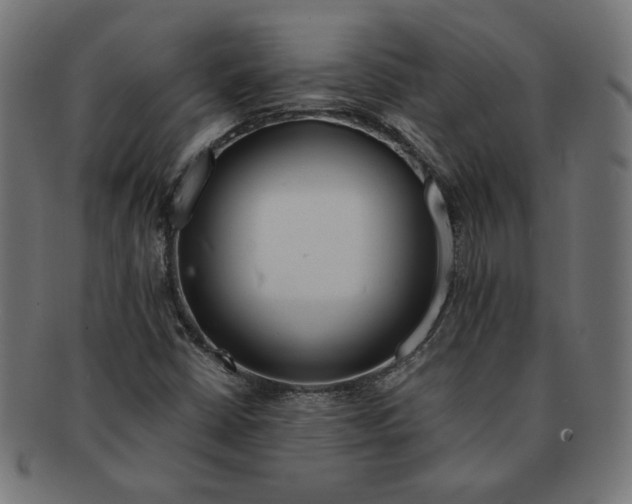 X0000091671402200709201210