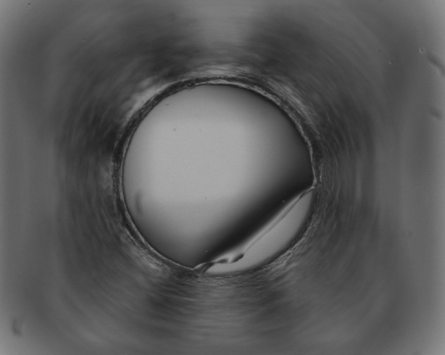 X0000091671404200709201210