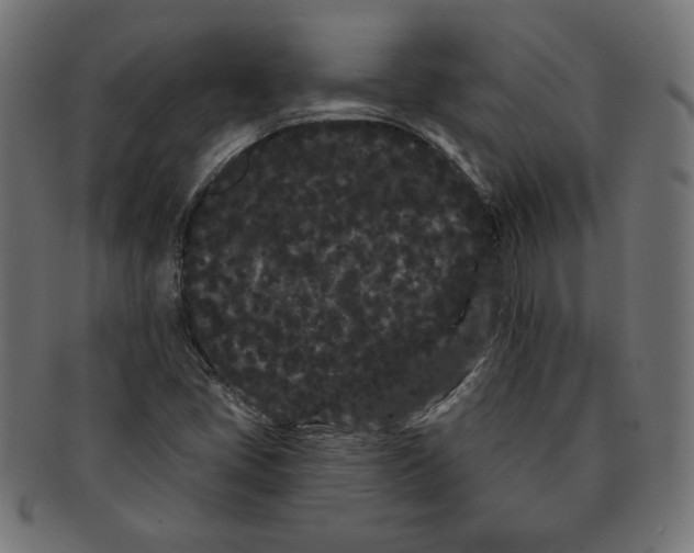 X0000091671405200709201210