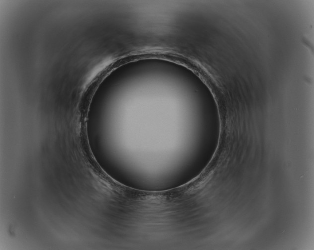 X0000091671406200709201210