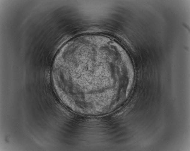 X0000091671409200709201210