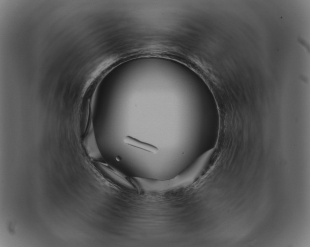 X0000091671410200709201210